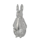 Beatrix Potter - Peter Rabbit Sculpted Money Bank