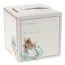 Beatrix Potter Money Bank - Peter Rabbit New Baby