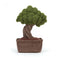 Jellycat Amuseable Collection Bonsai Tree soft toy 