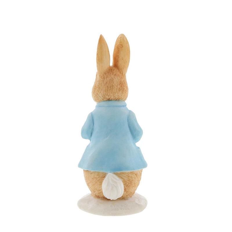 Beatrix Potter Winter - Peter Rabbit With Stocking