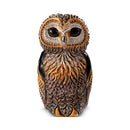 De Rosa The Families - African Cape Owl