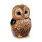 De Rosa The Families - Baby African Cape Owl