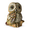 De Rosa The Families - Baby Boreal Owl I