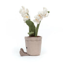 It has soft, silky blooms, sits in a linen-textured pot with fluffy, chocolate-colored soil, and features cordy leaves and boots. 
