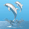 Metalmorphose - Keychain Dolphin Family