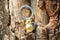 Metalmorphose - Keychain Owl & Book