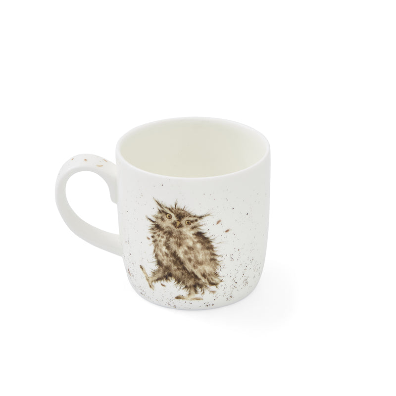 Royal Worcester Wrendale Designs - Owl Mug