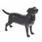 John Beswick Dogs - Black Labrador