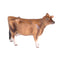 John Beswick Farmyard - Jersey Cow