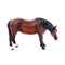 John Beswick Horses - Thoroughbred Mare Bay Horse