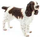 Dog Studies By Leonardo – Spaniel Brown And White